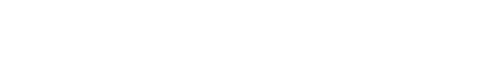 Toptransfer logo